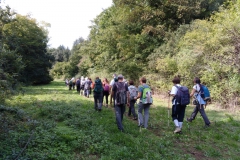 IMG_20191013_121039