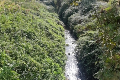 IMG_20231014_111731