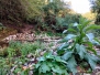 I Giganti del'Acqua GDC 10/10/2021