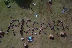245360710_441784187304833_8968787090265571985_n