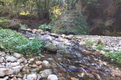 IMG-20211010-WA0016