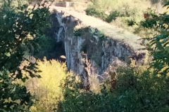 IMG-20211010-WA0017