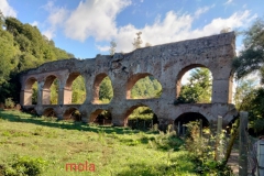 IMG-20211010-WA0019