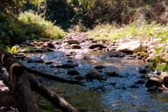 IMG-20211010-WA0031