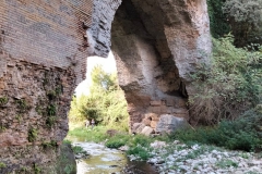 IMG-20211010-WA0037
