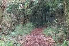 IMG-20211010-WA0046