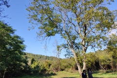 IMG_20211010_113226