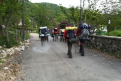 20180505_124133 (2)