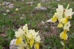 20180505_124308