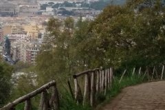 20161105_121848