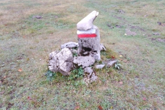 IMG_20201004_104057