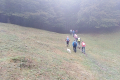 IMG_20201004_104219