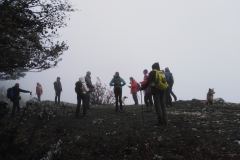 IMG_20201004_111354