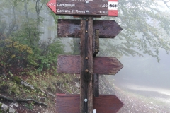 IMG_20201004_120321