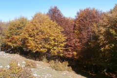 PA152285