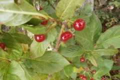 P9160706