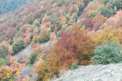 IMG_20191020_115258