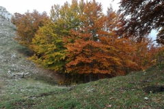 IMG_20191020_121505
