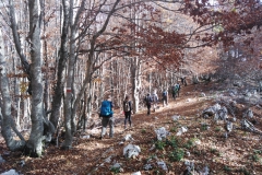 IMG_20221023_114600