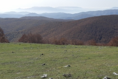 IMG_20221023_114600_2