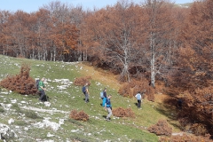 IMG_20221023_122534_7