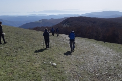 IMG_20221023_142133_1