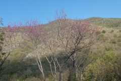 P4101388