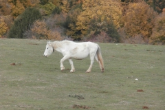 PB122440