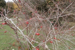 PB122446