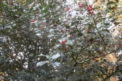 PB122458