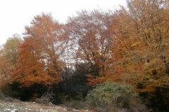 PB122459