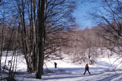 IMG_20210221_172510