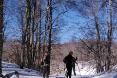 IMG_20210221_172557