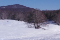 IMG_20210221_172559