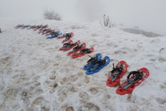 IMG_20210307_104403