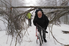 IMG_20210307_122842