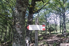 IMG_20230610_104947