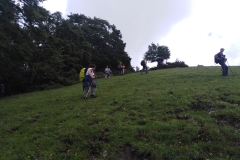 IMG_20230610_124436