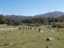 Monte Tarino 23/09/2018