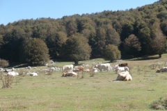 P9230771