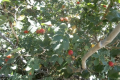 P9230810