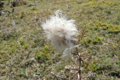 P9230829