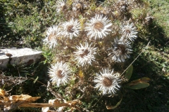 P9230843