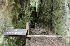 IMG-20230707-WA0018