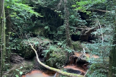 IMG-20230707-WA0019