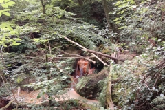 IMG-20230707-WA0021