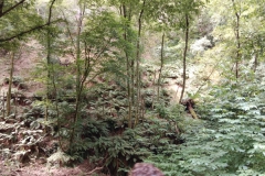 IMG-20230707-WA0022