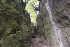 IMG-20230707-WA0023