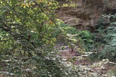 IMG-20230707-WA0032