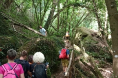 IMG-20230707-WA0036